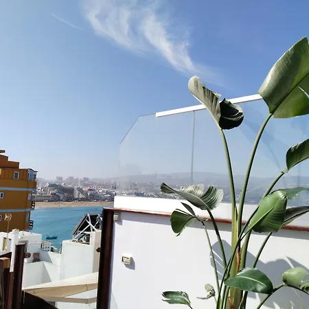 Wavia - Adults Only 3*